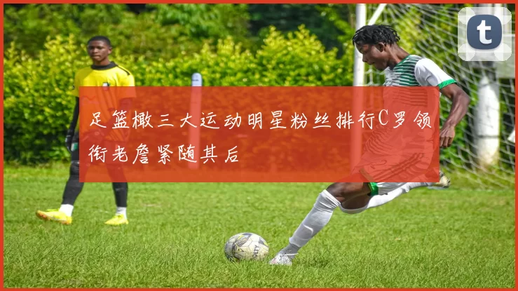 足篮橄三大运动明星粉丝排行C罗领衔老詹紧随其后
