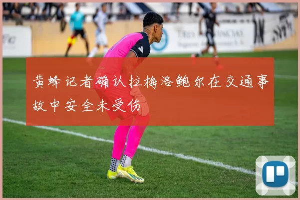 黄蜂记者确认拉梅洛鲍尔在交通事故中安全未受伤